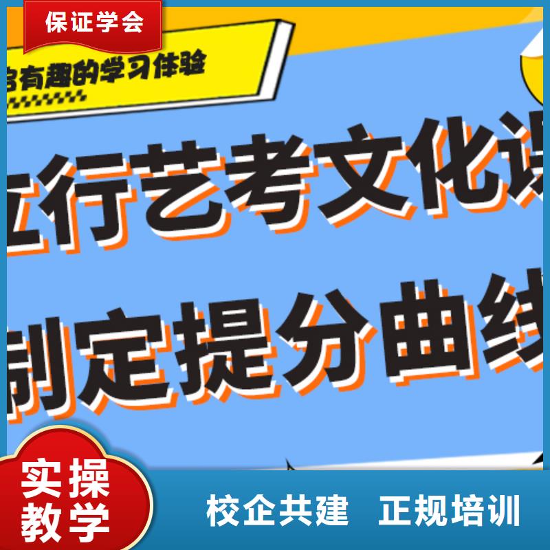 艺考文化课补习高考语文辅导手把手教学