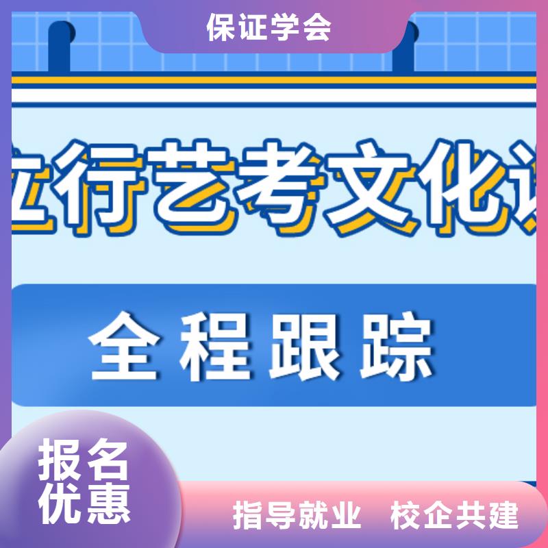 艺考文化课补习高考语文辅导手把手教学