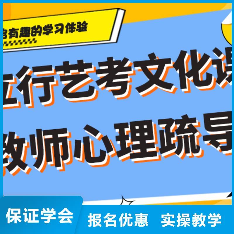 藝術(shù)生文化課-高考復讀晚上班課程多樣