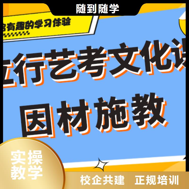 艺术生文化课【高中一对一辅导】老师专业