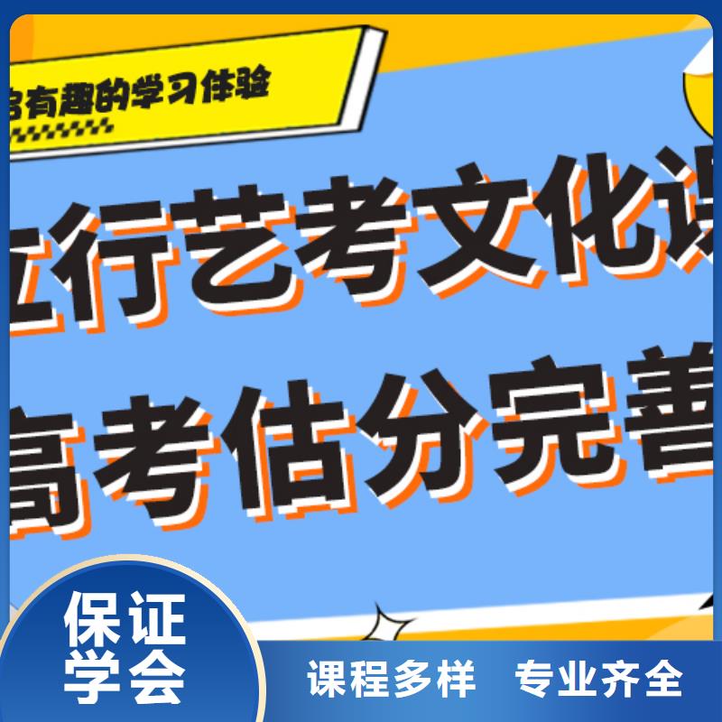 艺术生文化课【高中一对一辅导】老师专业