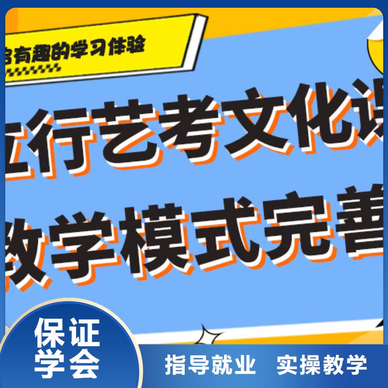 艺术生文化课【高中一对一辅导】老师专业