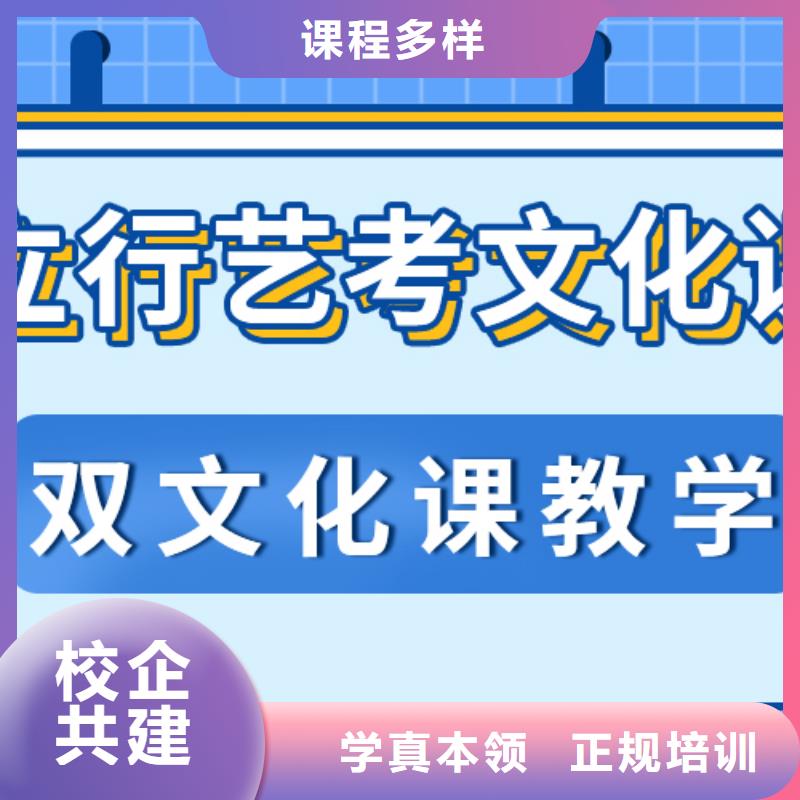 艺术生文化课【高中一对一辅导】老师专业