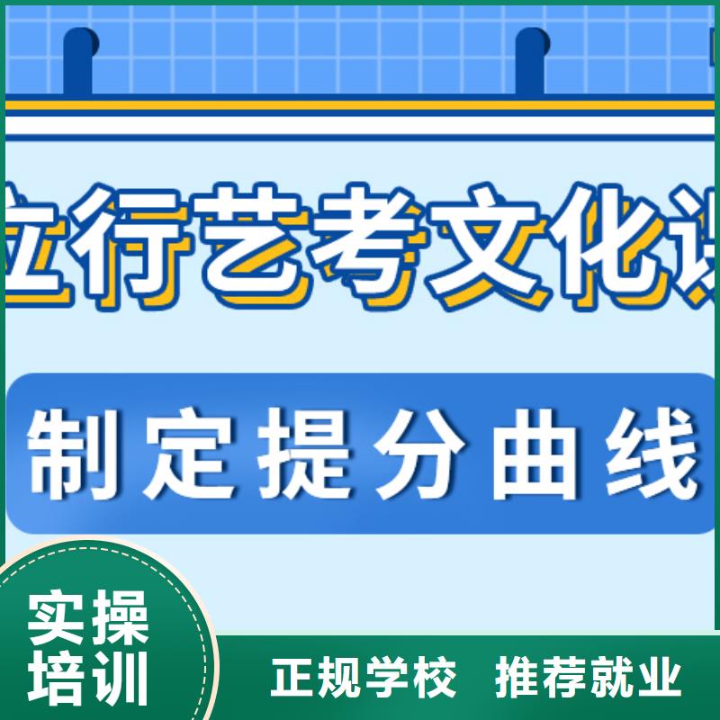 藝術(shù)生文化課【高中一對一輔導(dǎo)】老師專業(yè)