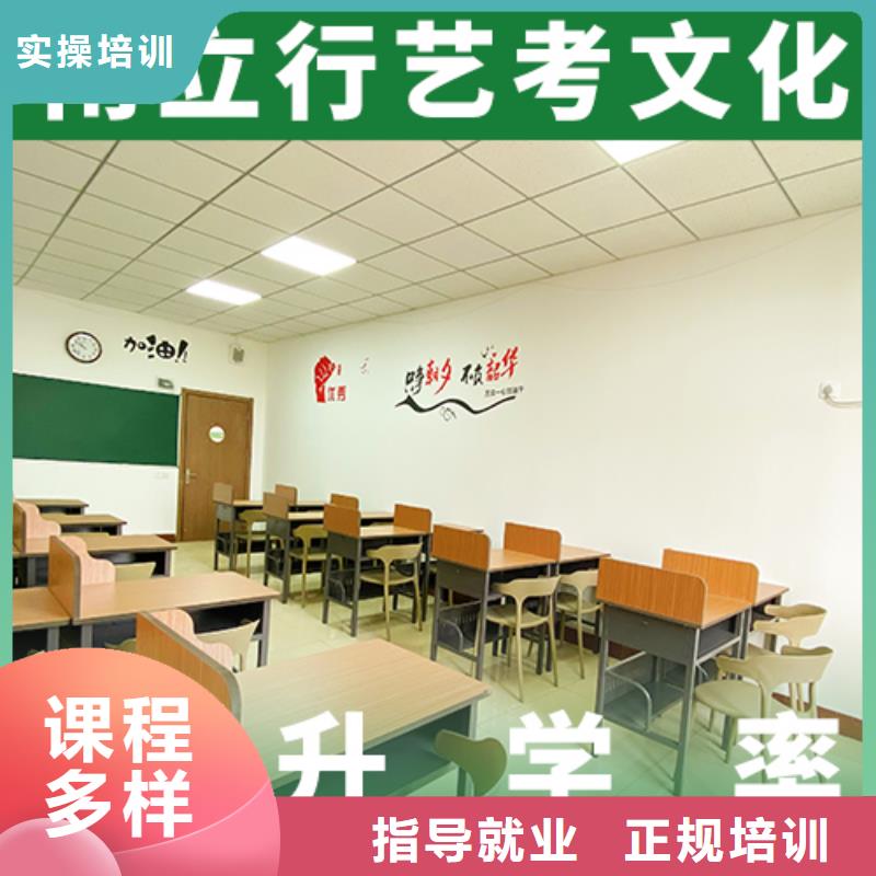 藝術(shù)生文化課【高中一對一輔導(dǎo)】老師專業(yè)