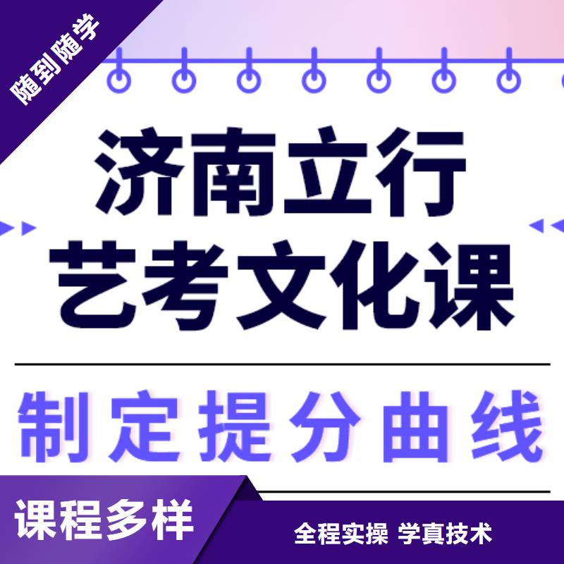 藝考文化課培訓(xùn)高考語文輔導(dǎo)課程多樣