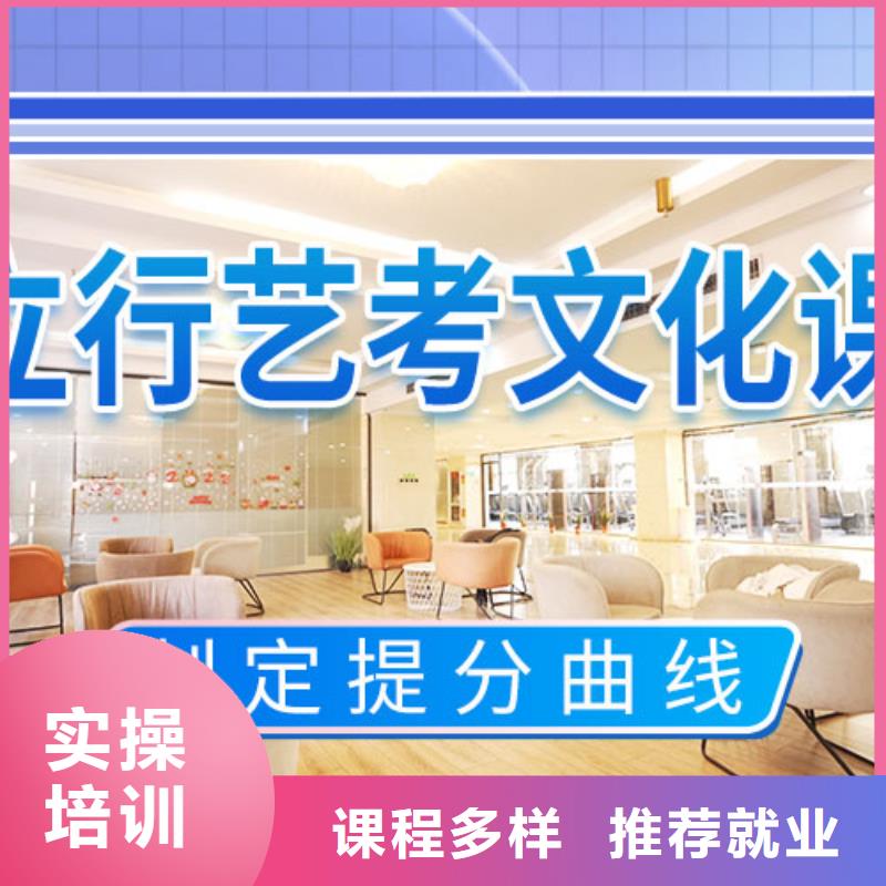藝考文化課培訓(xùn)_藝考文化課百日沖刺班老師專業(yè)