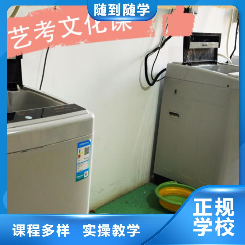 艺考文化课培训艺术生文化补习就业