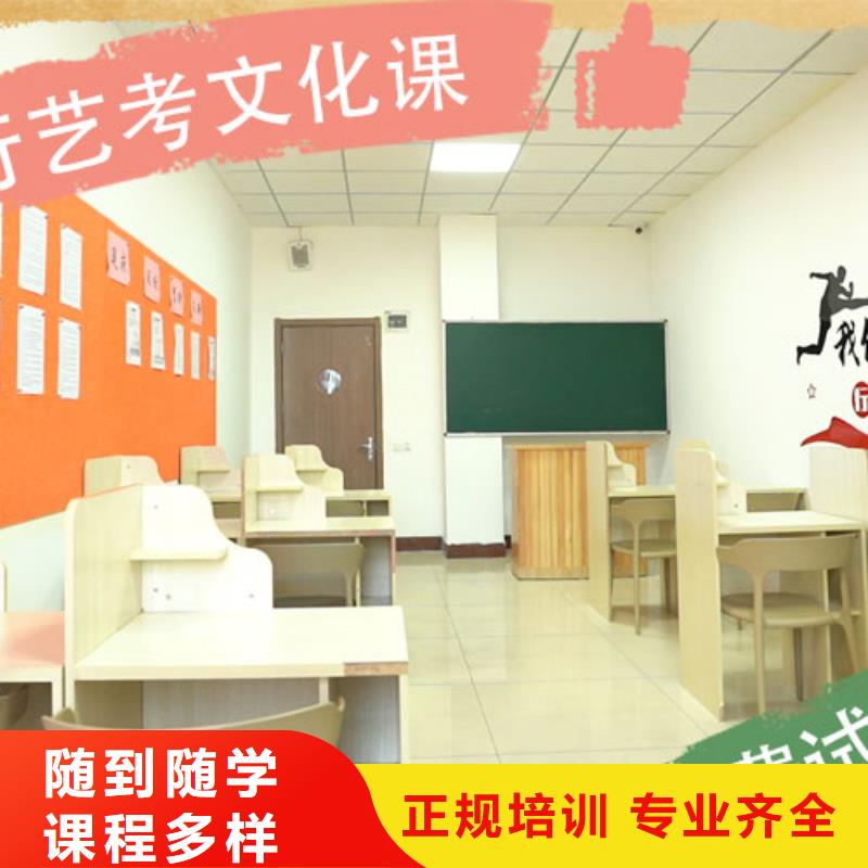 藝考文化課培訓(xùn)_舞蹈藝考培訓(xùn)隨到隨學(xué)