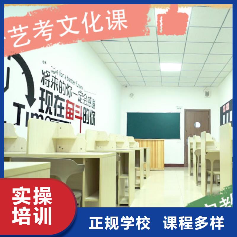 藝考文化課培訓(xùn)藝考文化課沖刺實(shí)操教學(xué)