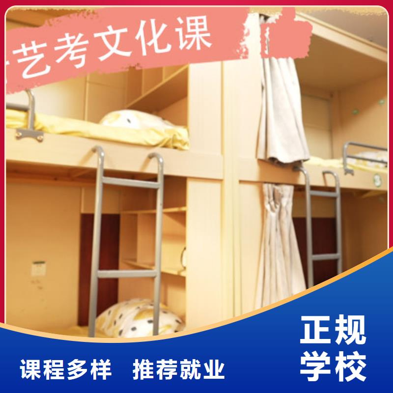 艺考生文化课高考就业快