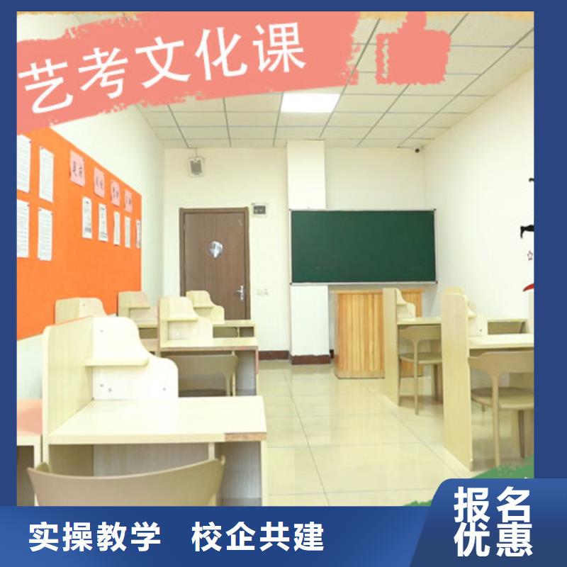 艺考生文化课艺术生文化补习专业齐全