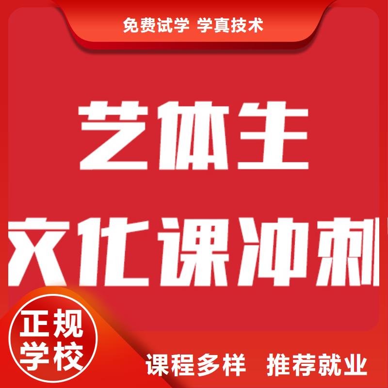 艺考生文化课高中物理补习实操培训