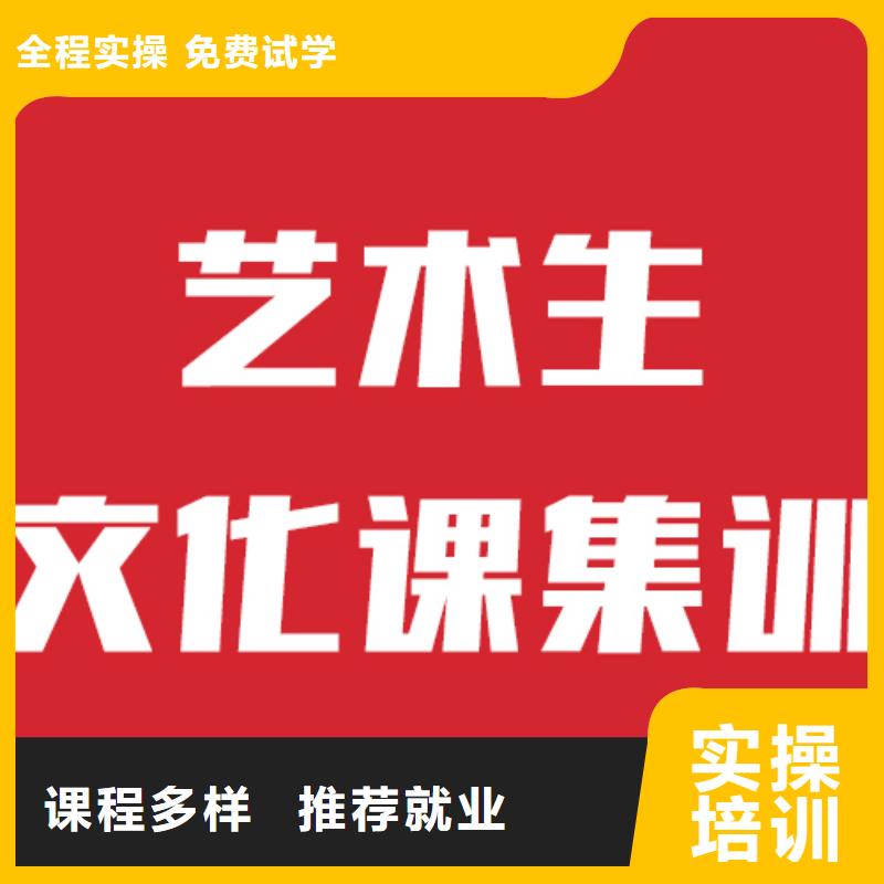 藝考生文化課【藝考培訓(xùn)機(jī)構(gòu)】就業(yè)