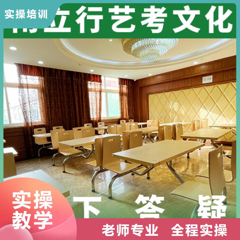 艺考文化课集训编导文化课培训免费试学