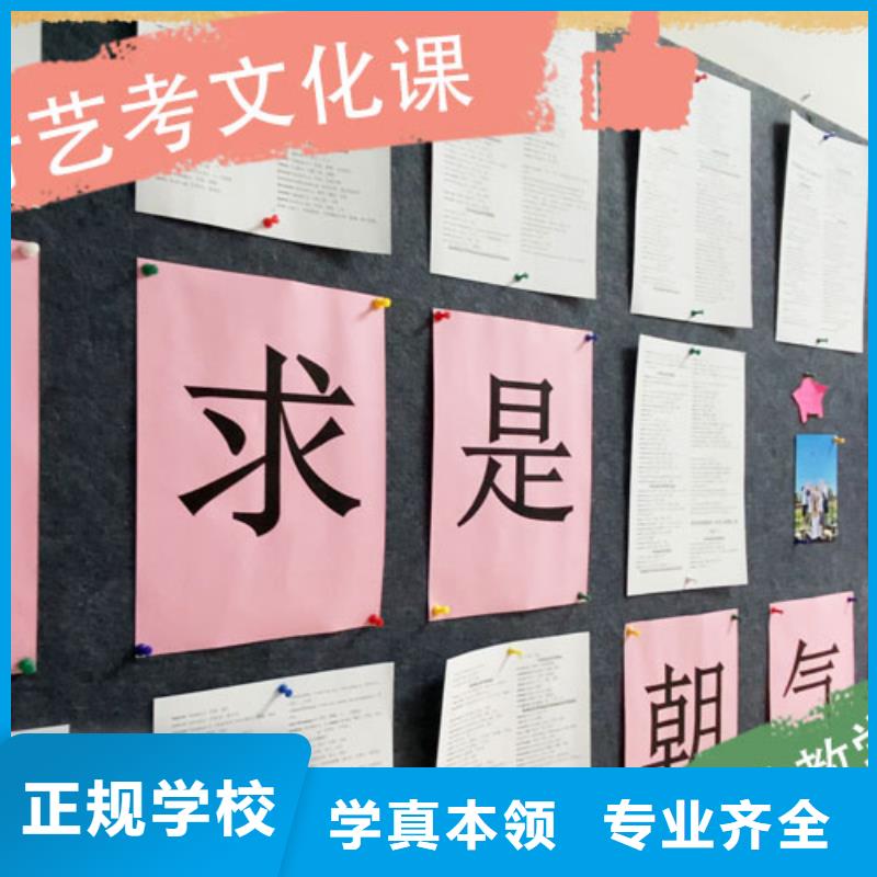 艺考文化课集训高考补习学校学真技术