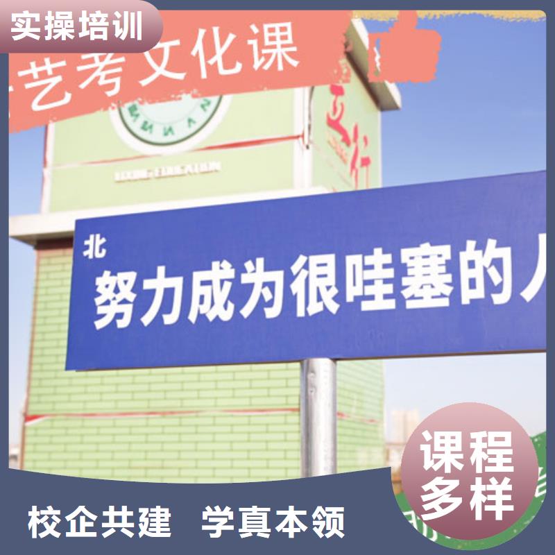 艺考文化课集训高考化学辅导技能+学历