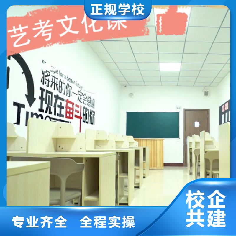 艺考文化课集训高考化学辅导技能+学历
