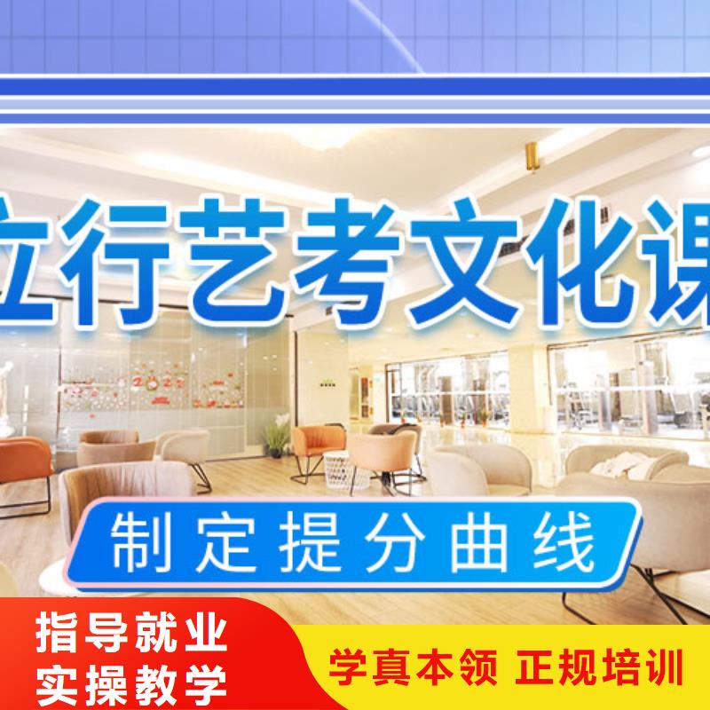 藝考文化課集訓(xùn)高考化學(xué)輔導(dǎo)技能+學(xué)歷