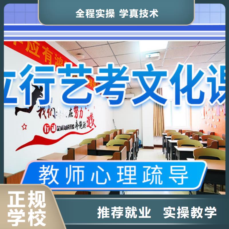 艺考文化课集训高考补习学校学真技术