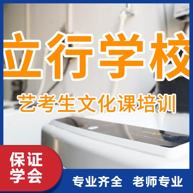 藝考文化課培訓(xùn)高考語文輔導(dǎo)手把手教學(xué)