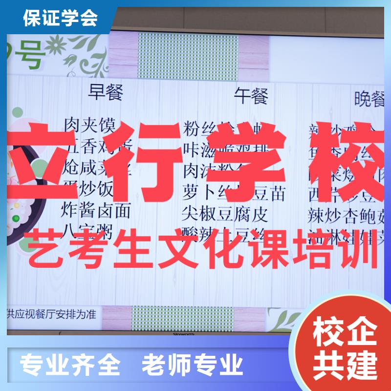 藝考文化課培訓(xùn)高考語文輔導(dǎo)手把手教學(xué)