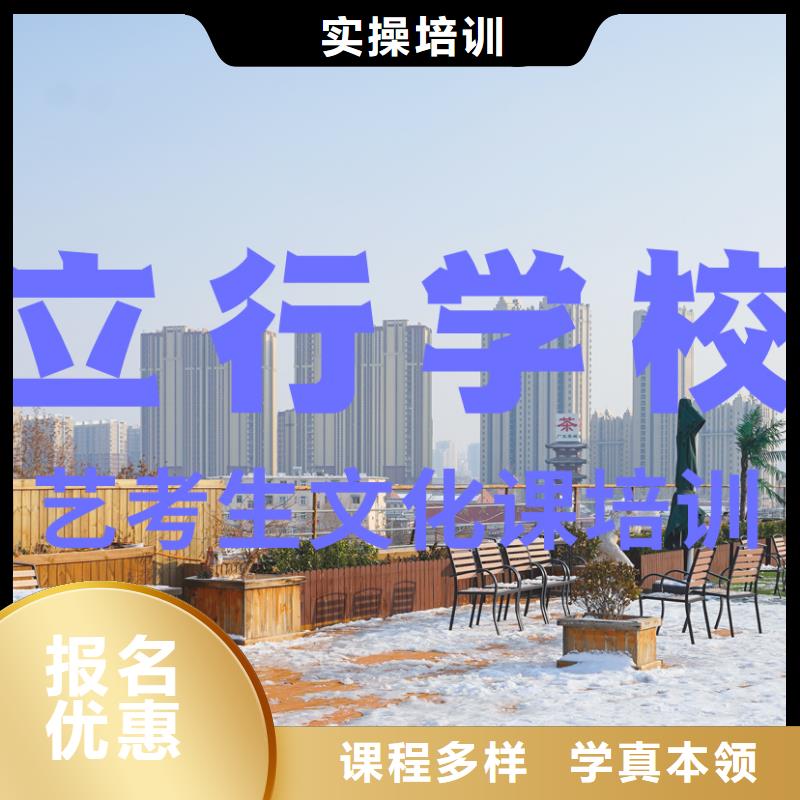 藝考文化課培訓(xùn)高考語文輔導(dǎo)手把手教學(xué)