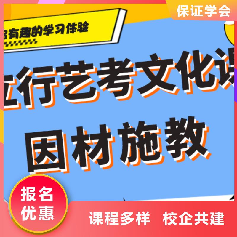 藝考文化課藝考復(fù)讀清北班手把手教學(xué)