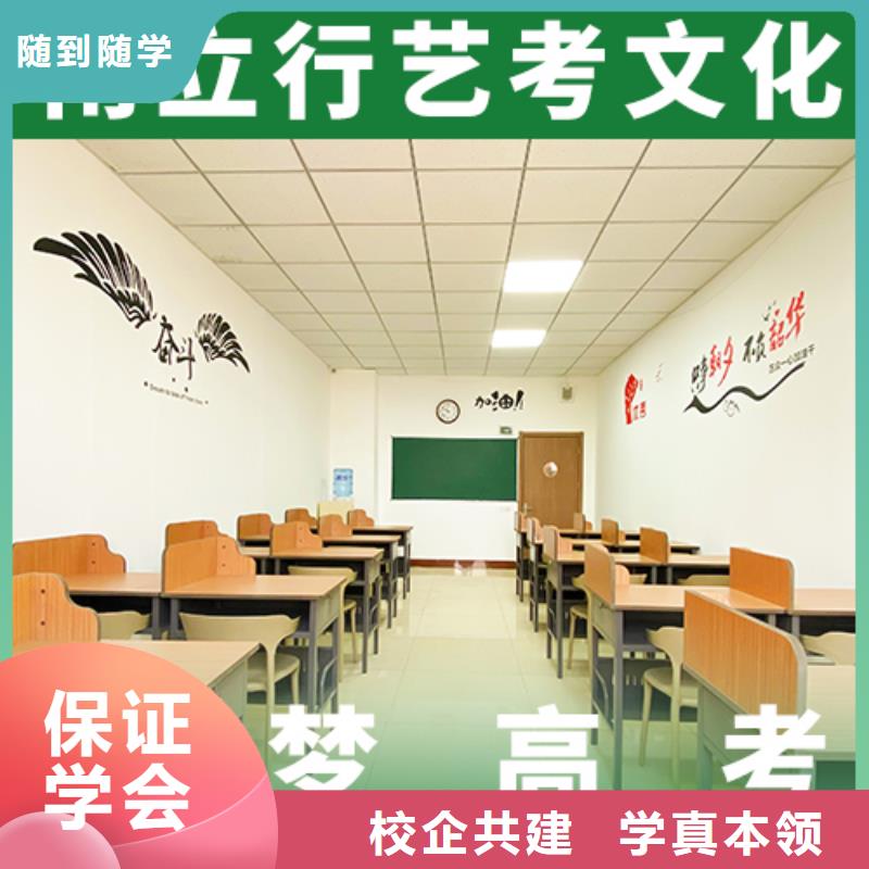 艺考文化课培训,高考语文辅导老师专业