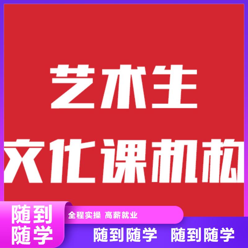 藝考文化課培訓(xùn)學(xué)歷師資力量強