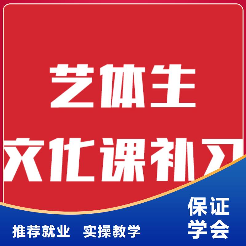 藝考文化課培訓(xùn)學(xué)歷師資力量強