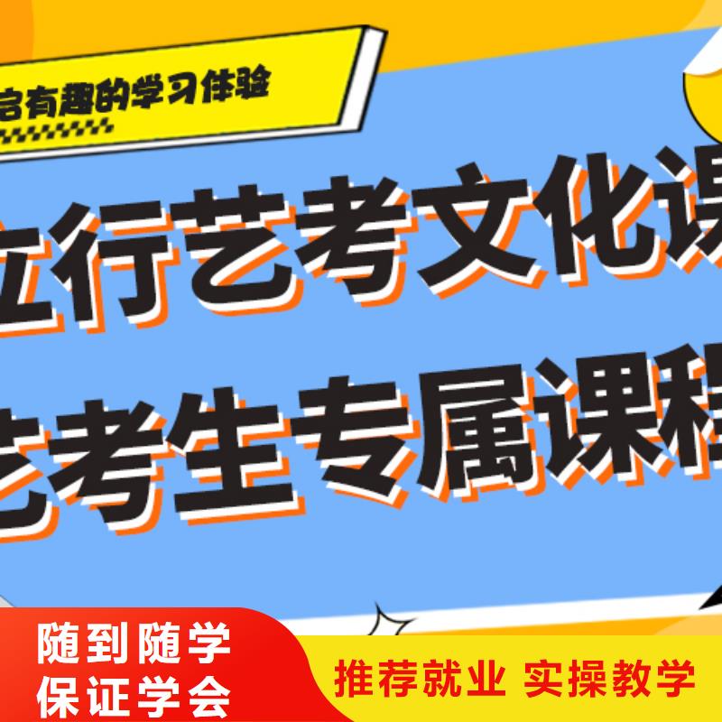 藝考生文化課美術(shù)藝考保證學(xué)會