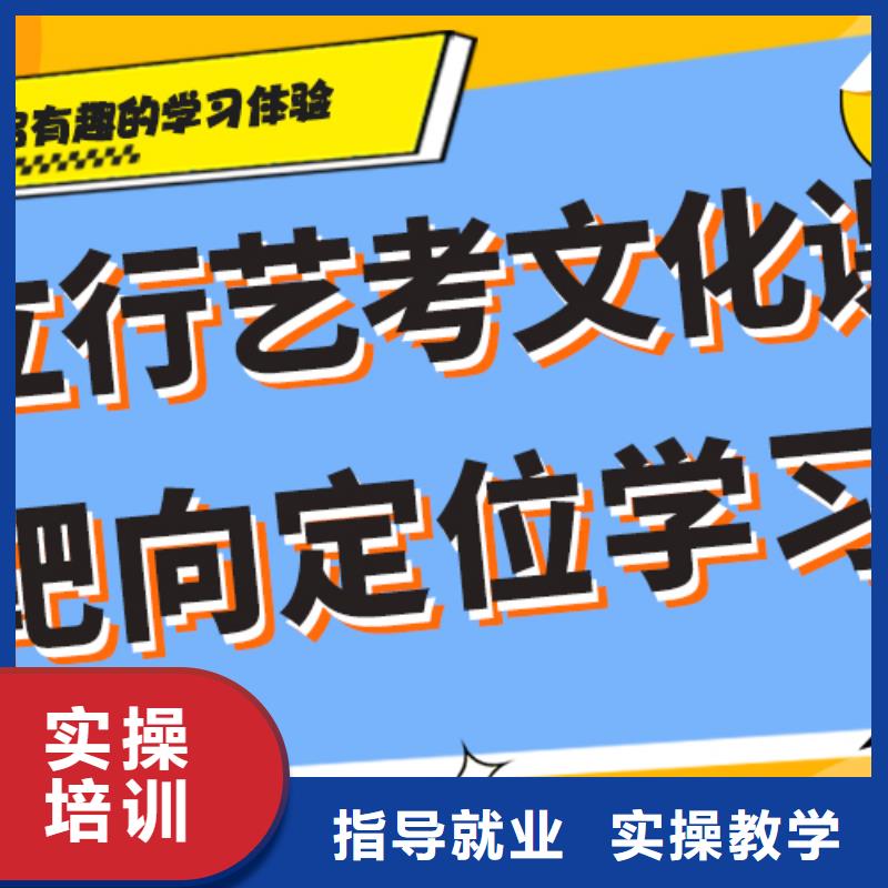 艺考生文化课【高中一对一辅导】理论+实操