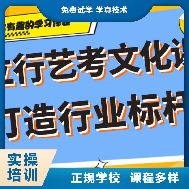 藝考生文化課【高中一對一輔導(dǎo)】正規(guī)培訓(xùn)