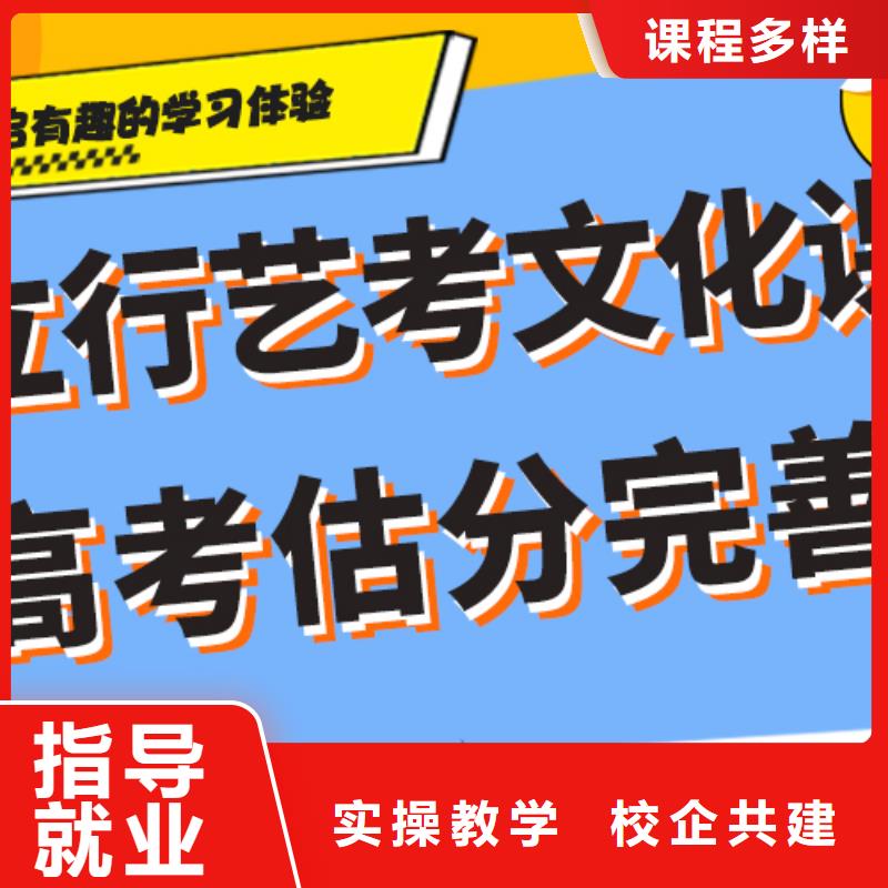 藝考生文化課【高中一對一輔導】正規(guī)培訓