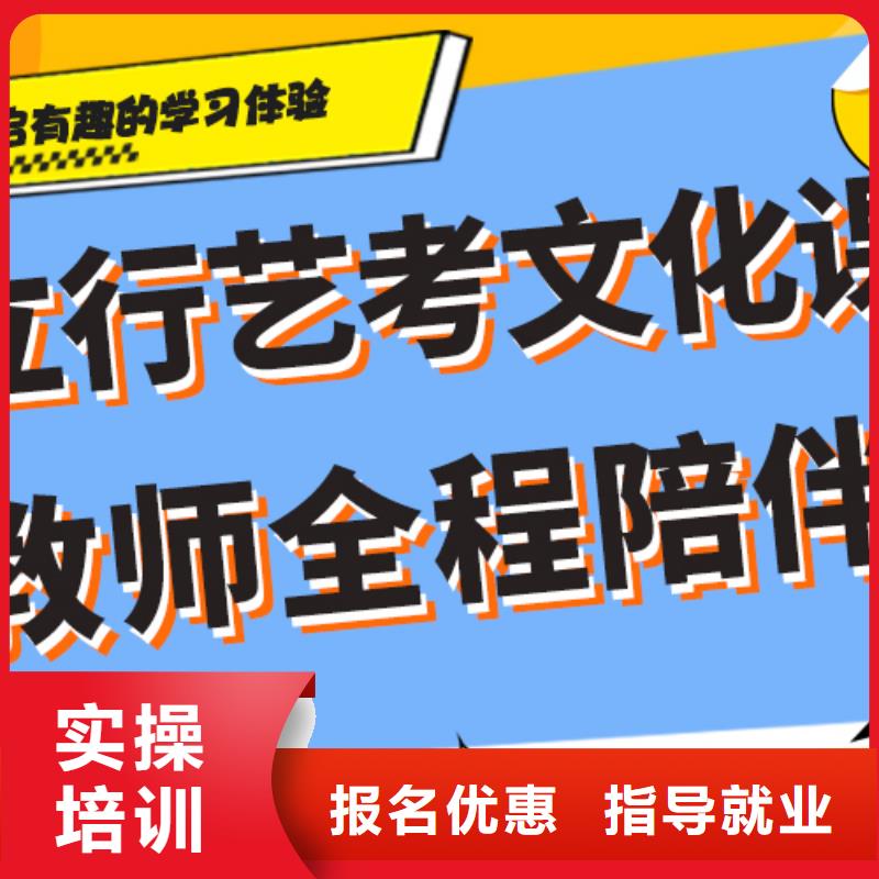 藝考生文化課美術(shù)藝考保證學(xué)會