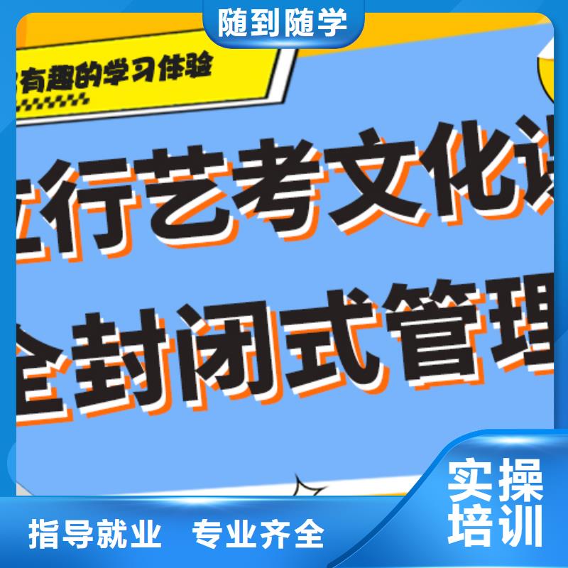 艺考生文化课【高中一对一辅导】理论+实操