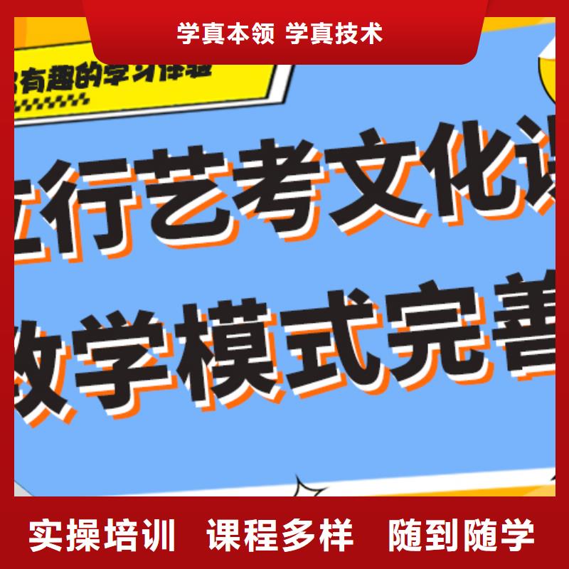 艺考生文化课【高中一对一辅导】理论+实操