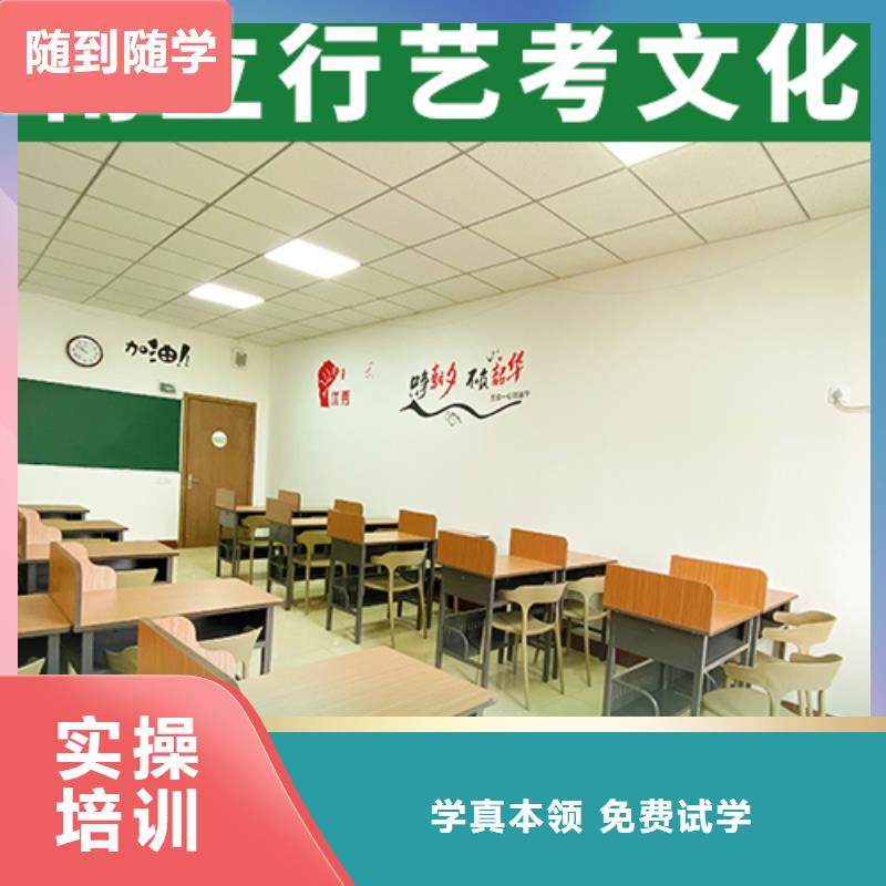 艺考生文化课高三复读辅导理论+实操