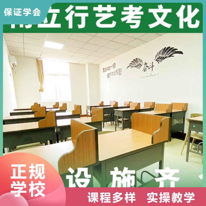 藝考生文化課美術(shù)藝考保證學(xué)會