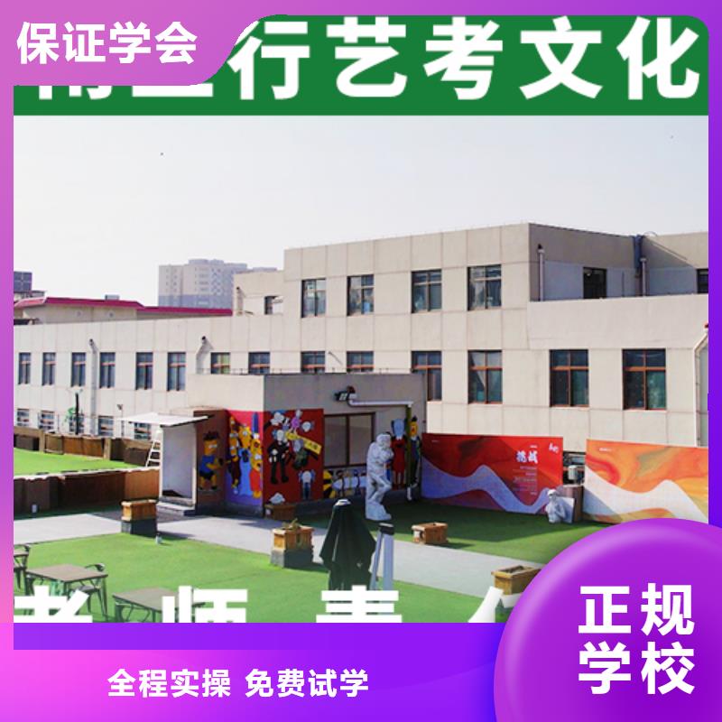 藝考生文化課美術(shù)藝考保證學(xué)會