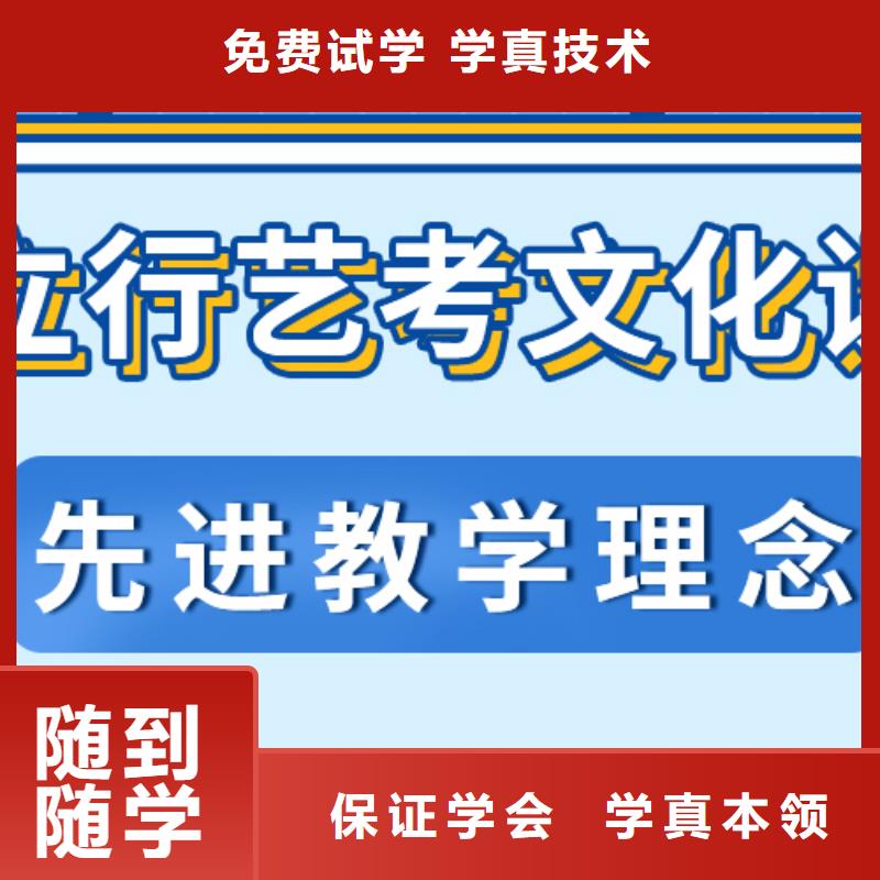 艺考生文化课【高中一对一辅导】理论+实操