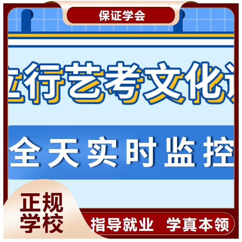 艺考生文化课【高中一对一辅导】理论+实操