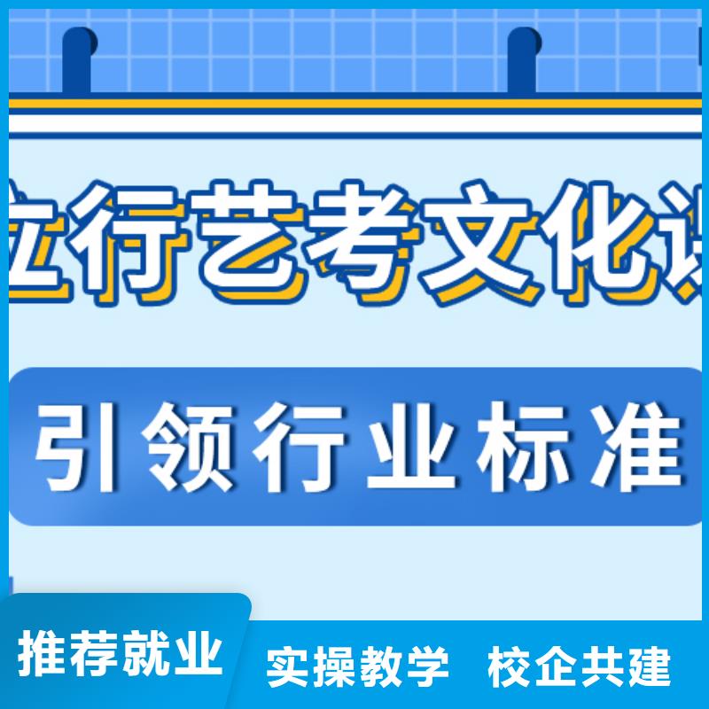 藝考生文化課【高中一對一輔導】正規(guī)培訓