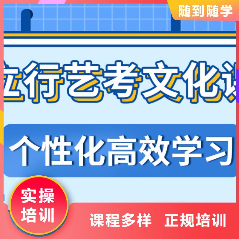 艺考生文化课【高中一对一辅导】理论+实操