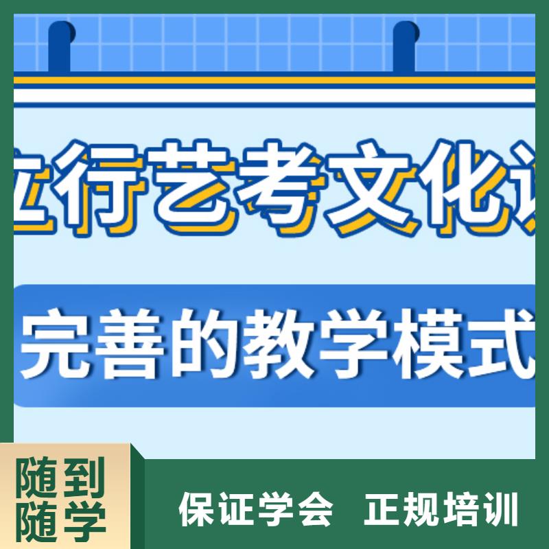 艺考生文化课【高中一对一辅导】理论+实操