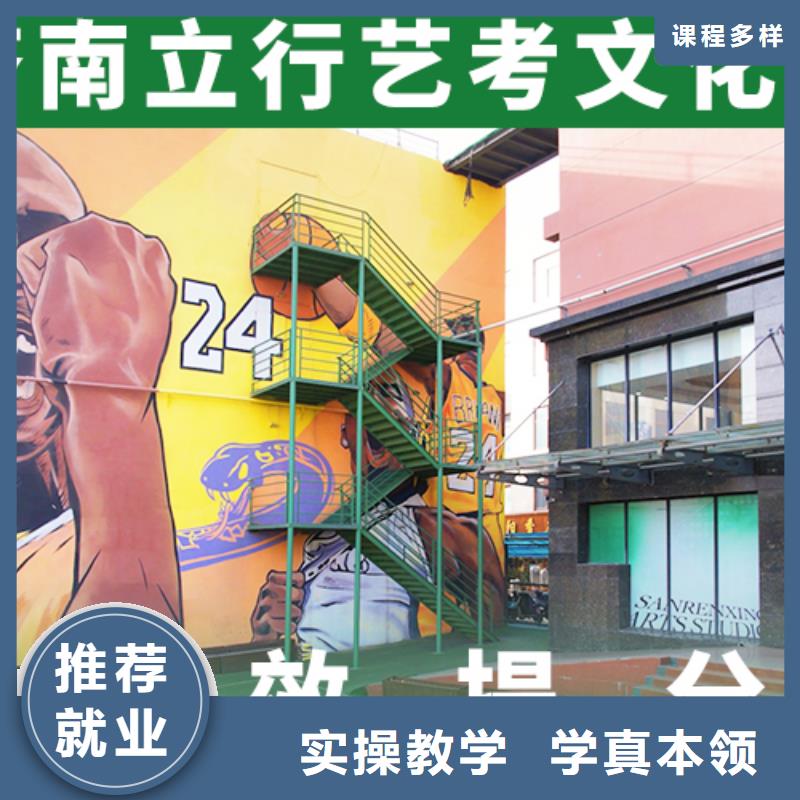 藝考文化課培訓(xùn)班高考化學(xué)輔導(dǎo)學(xué)真技術(shù)