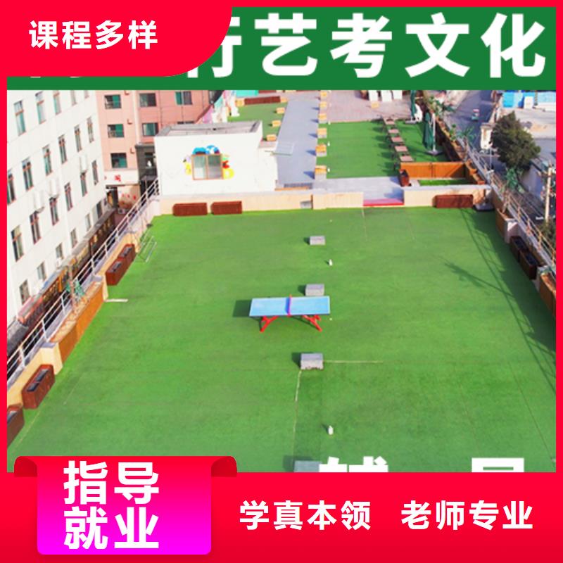 藝考文化課培訓(xùn)班高考化學(xué)輔導(dǎo)學(xué)真技術(shù)