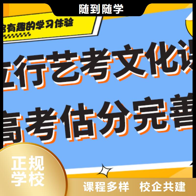 艺考文化课【艺考培训学校】手把手教学