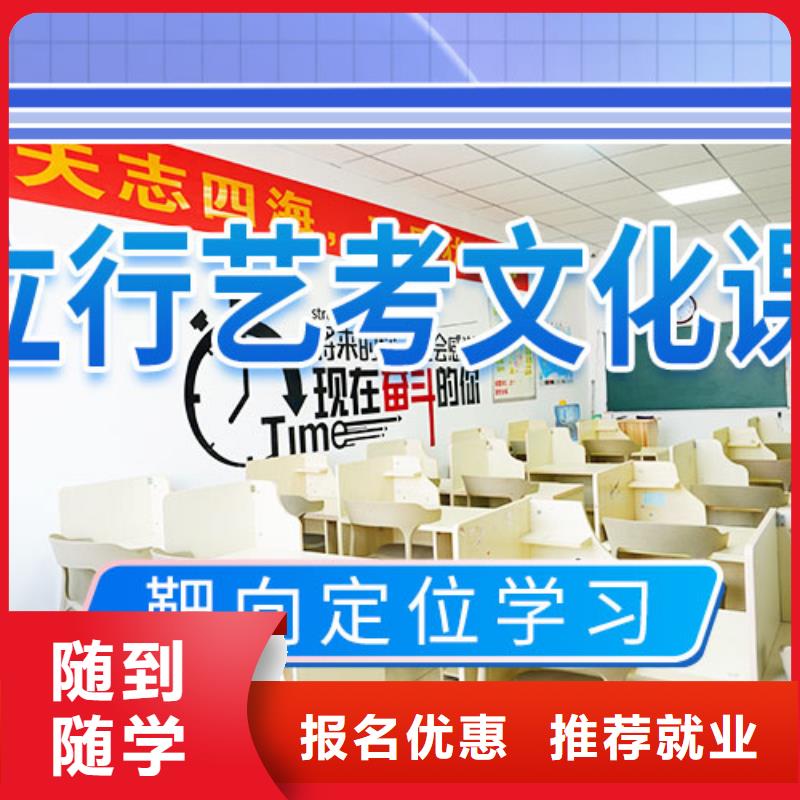 藝考文化課_高考語(yǔ)文輔導(dǎo)指導(dǎo)就業(yè)